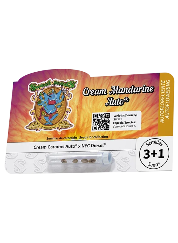 Cream Mandarine Auto – Produktansicht