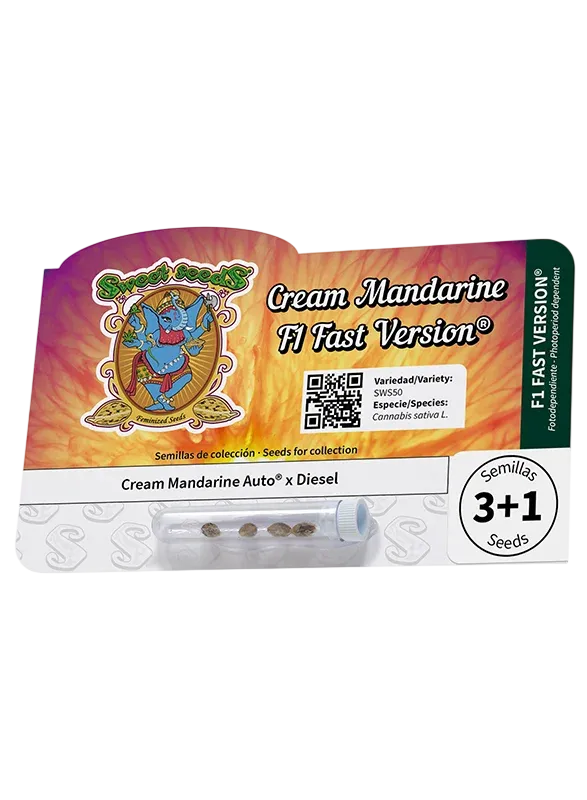 Cream Mandarine F1 FAST Version | PHOTOFEM | Sweet Seeds