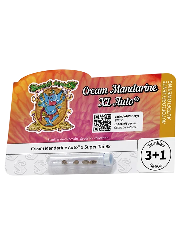 Cream Mandarine XL Auto – Produktansicht