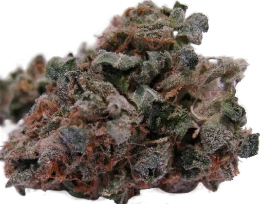 707 Headband