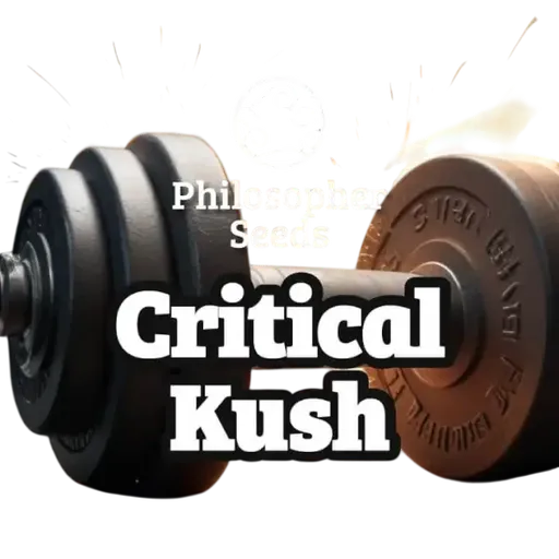 Critical Kush
