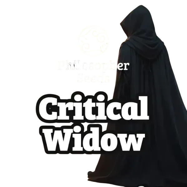 Critical Widow | PHOTOFEM | Philosopher Seeds
