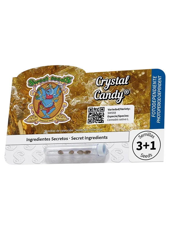Crystal Candy | PHOTOFEM | Sweet Seeds