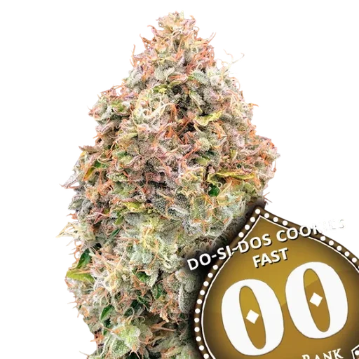 Do-Si-Dos Cookies FAST