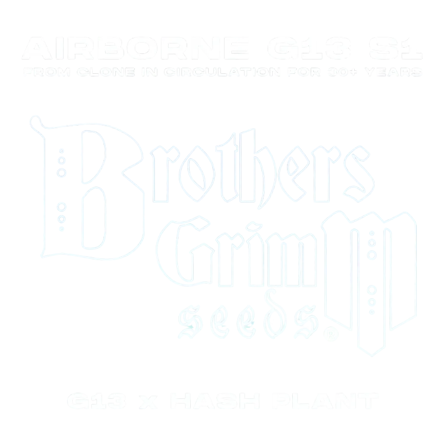 Airborne G13 S1 | PHOTOFEM | Brothers Grimm Seeds