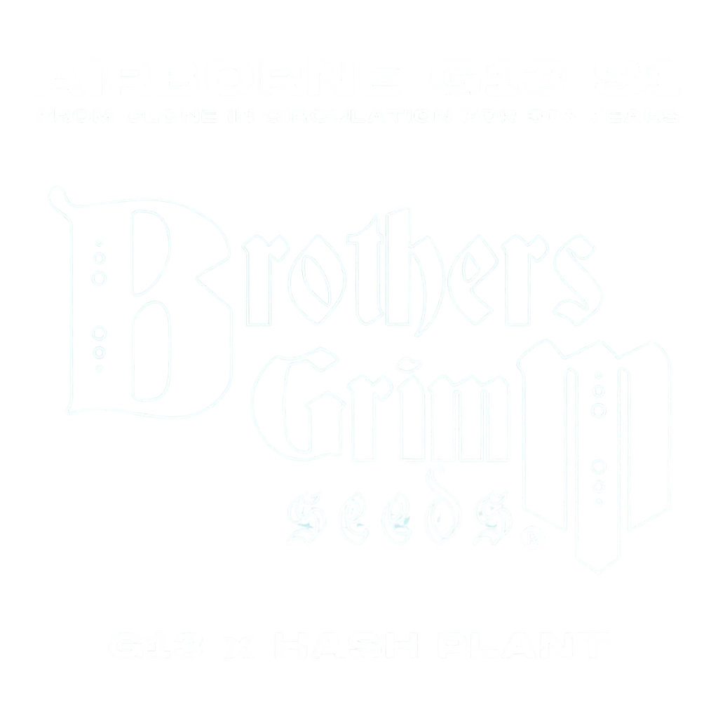 Airborne G13 S1 | PHOTOFEM | Brothers Grimm Seeds