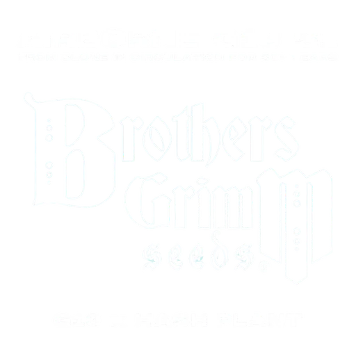 Airborne G13 S1