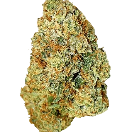 Expert Gorilla Auto | AUTOFEM | Expert Seeds