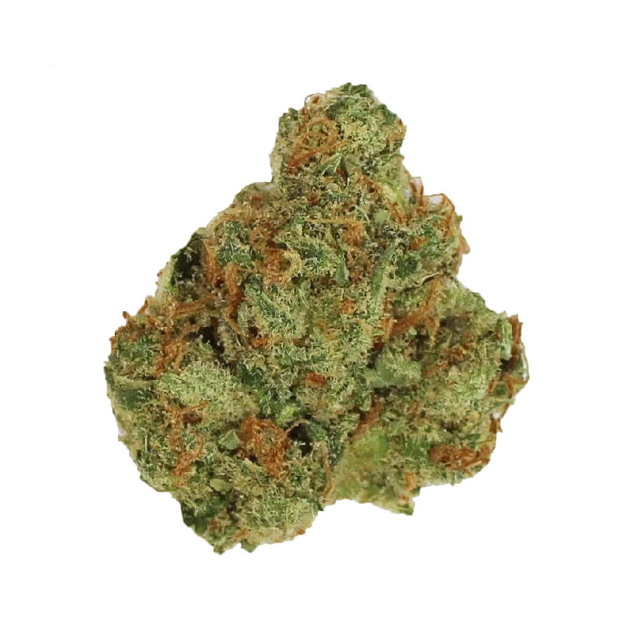 Fatkids Cake | PHOTOFEM | Amsterdam Genetics