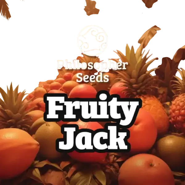 Fruity Jack | PHOTOFEM | Philosopher Seeds