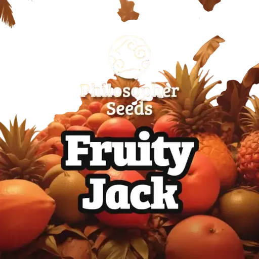 Fruity Jack
