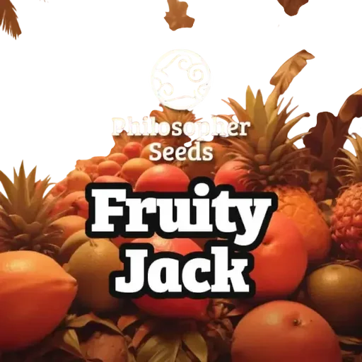 Fruity Jack