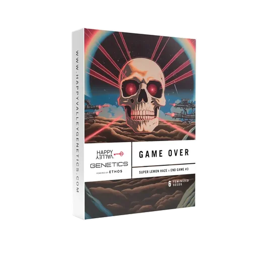 Game Over
