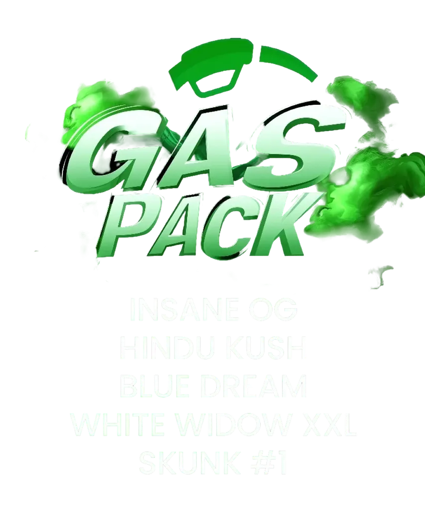 Gas Pack | PHOTOFEM | Barneys Farm