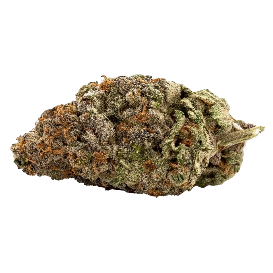 GDP Auto x Gumberry Auto | AUTOFEM | Garden Of Green