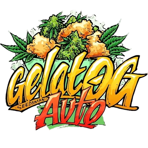 Gelat.OG Auto
