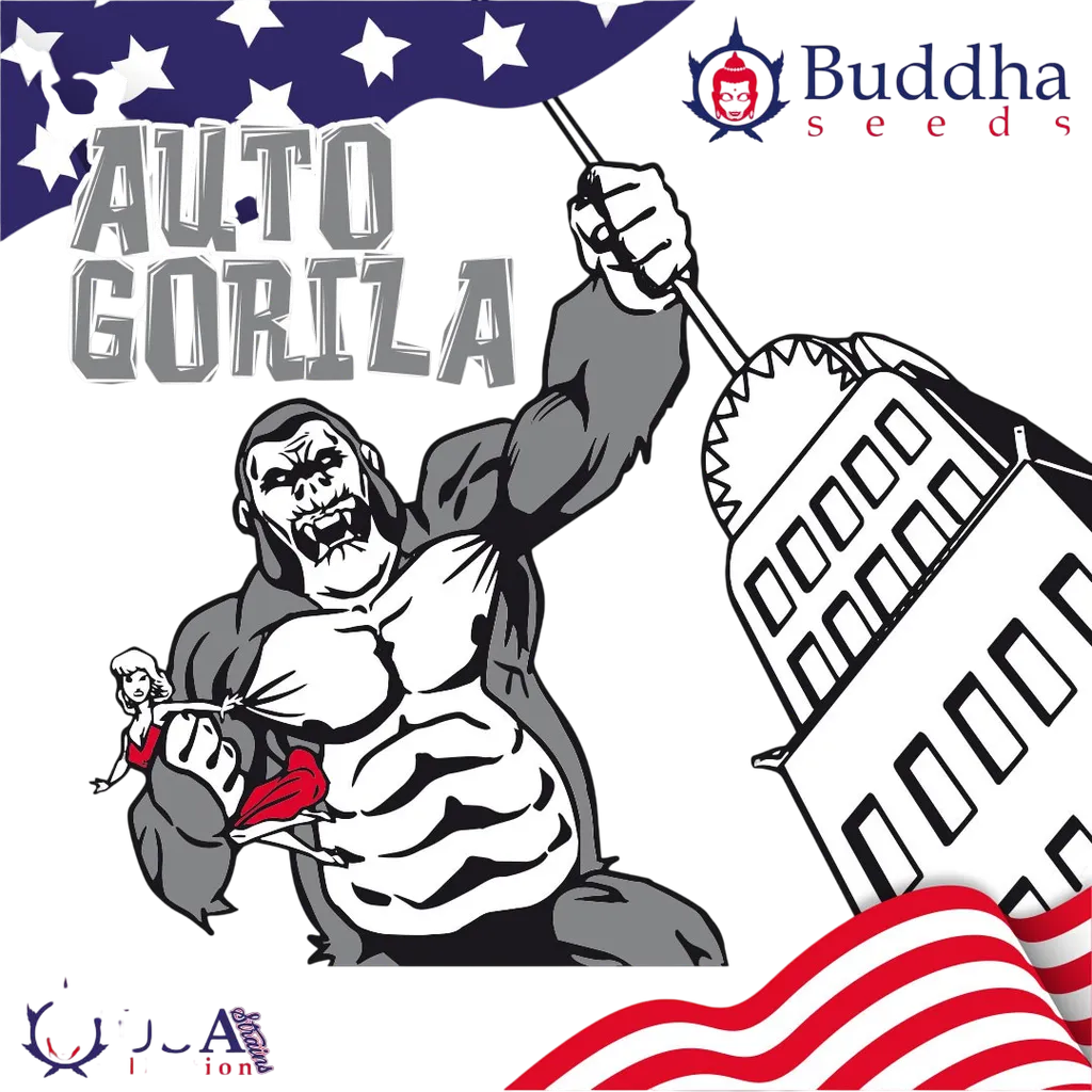 Gorila Auto | AUTOFEM | Buddha Seeds