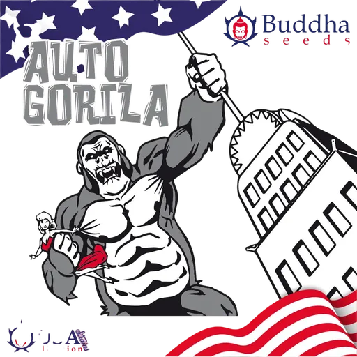 Gorila Auto