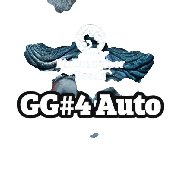 Gorilla Glue Auto | AUTOFEM | Philosopher Seeds