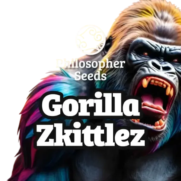 Gorilla Z | PHOTOFEM | Philosopher Seeds