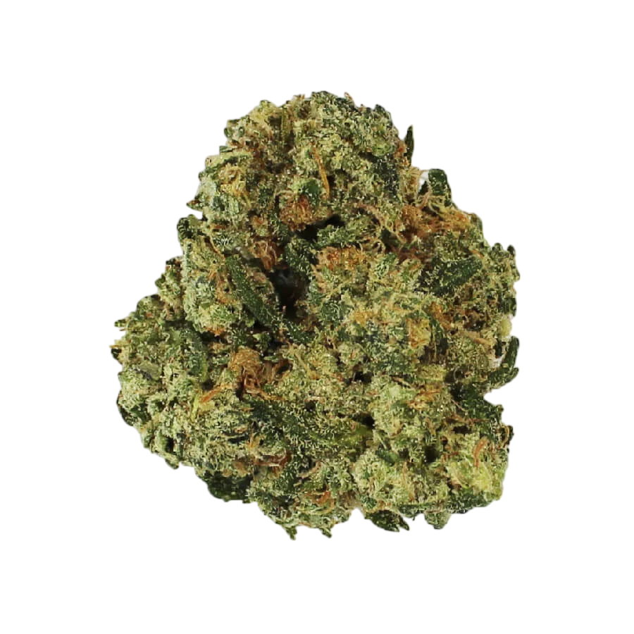 Grapefruit Superstar | PHOTOFEM | Amsterdam Genetics
