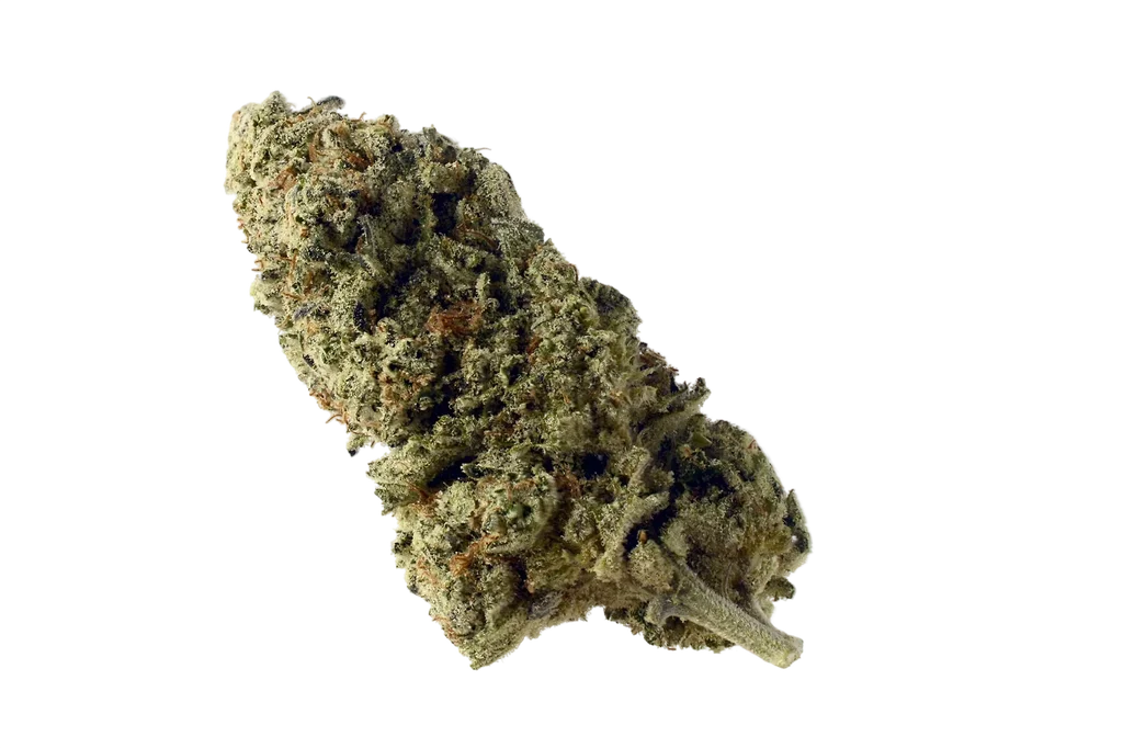 Green Magic | PHOTOFEM | Amsterdam Genetics