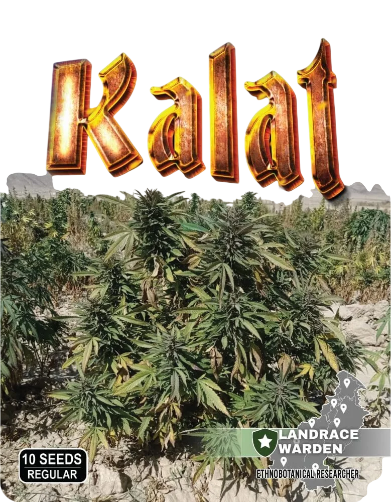 Kalat | PHOTOREG | Landrace Warden