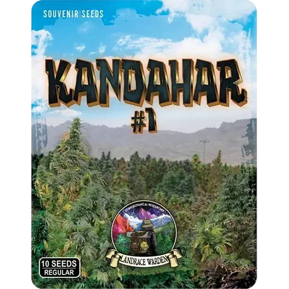 Kandahar Arghandab #1 | PHOTOREG | Landrace Warden