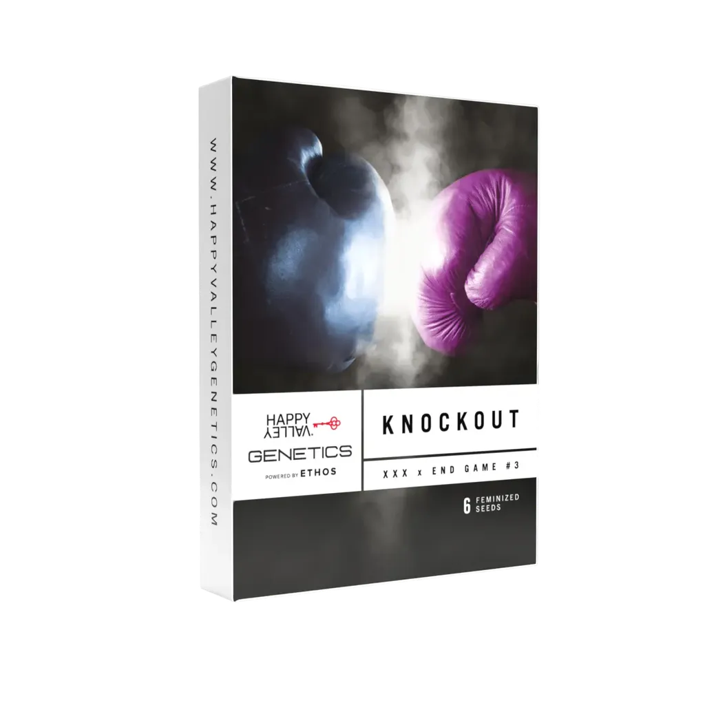 Knockout | PHOTOFEM | Happy Valley Genetics