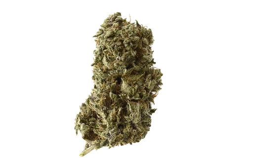 Kosher Tangie Kush