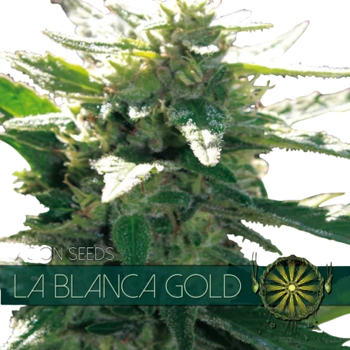 La Blanca Gold