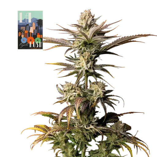 L.A. Peyote Kush