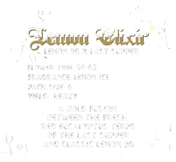 Lemon Elixir | PHOTOFEM | Solfire Gardens