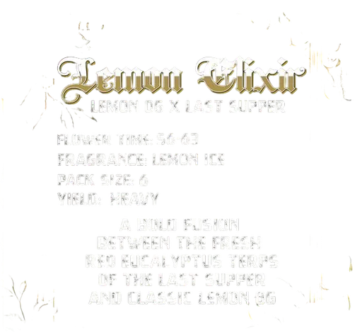 Lemon Elixir