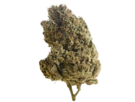 Lemongrass