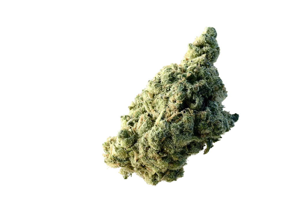 Lemon Ice | PHOTOFEM | Amsterdam Genetics