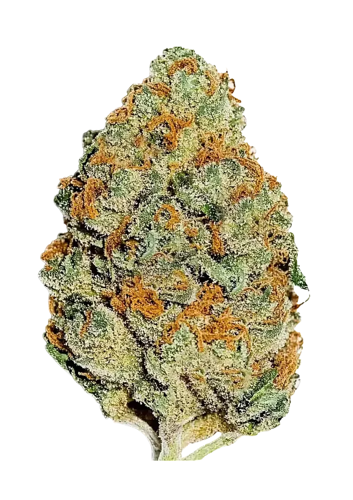 Lemon Mandarin – Produktansicht