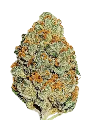 Lemon Mandarin