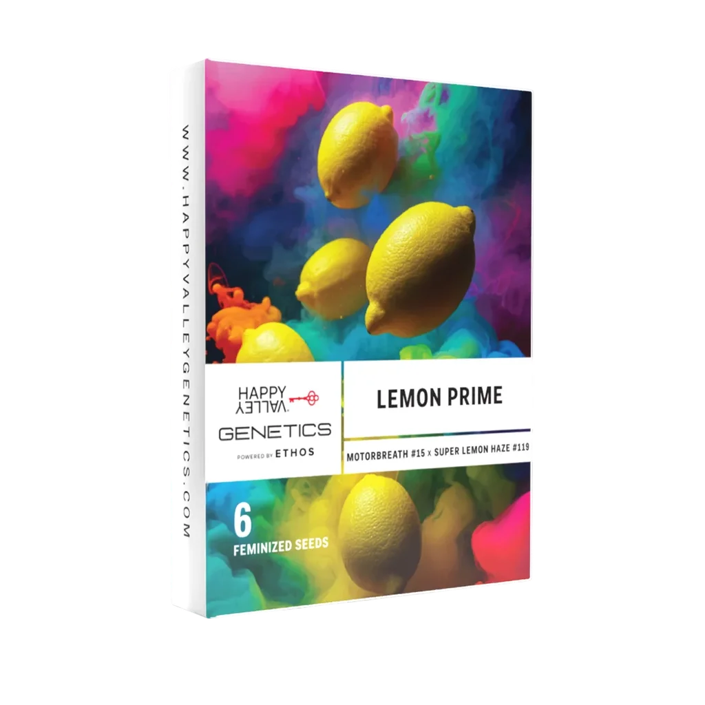 Lemon Prime – Produktansicht