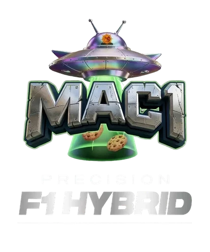 MAC 1