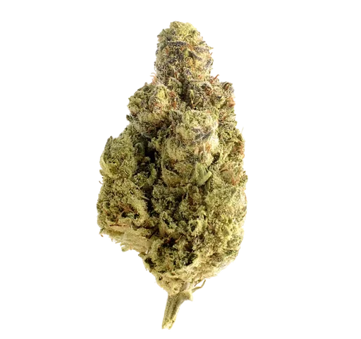 Magic OG Kush