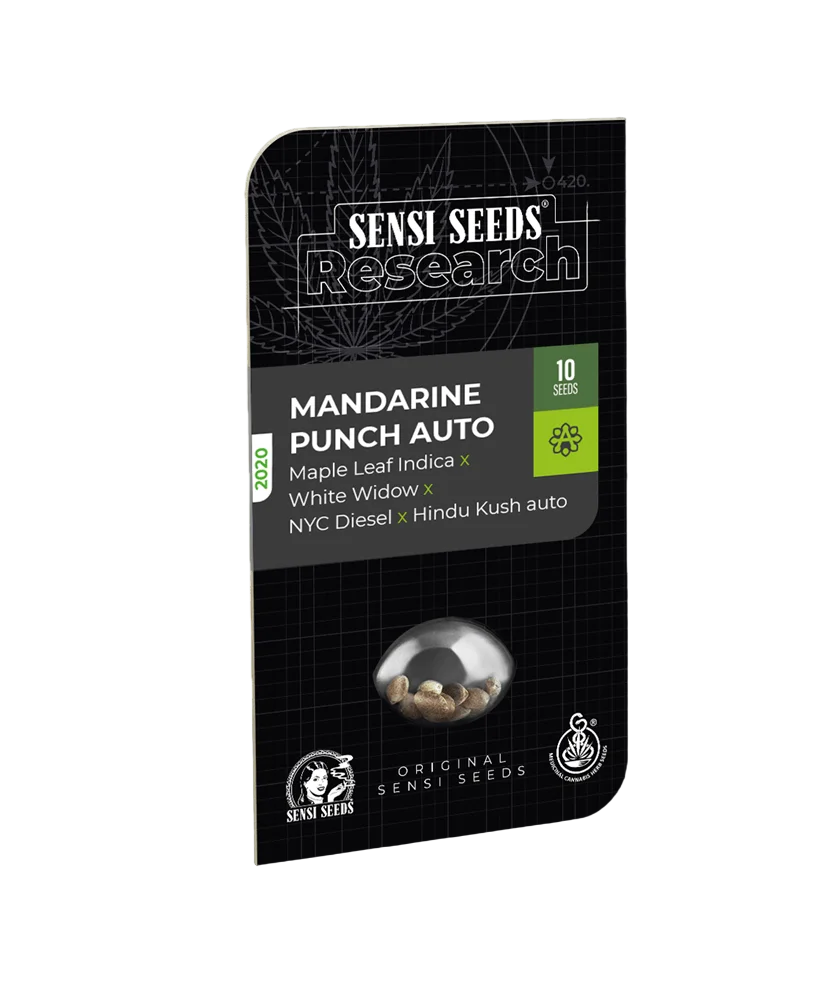 Mandarin Punch Auto | AUTOFEM | Sensi Seeds Research