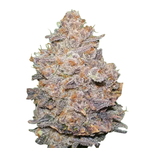 Melon Gum
