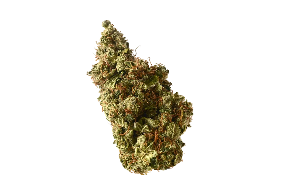 Milkshake Kush Auto | AUTOFEM | Amsterdam Genetics