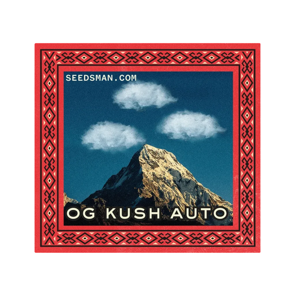 OG Kush Auto | AUTOFEM | Seedsman