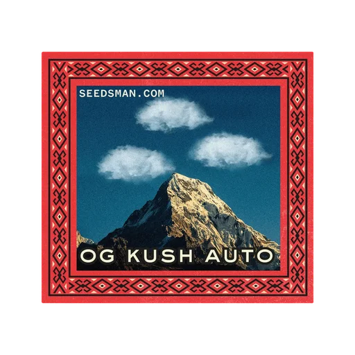OG Kush Auto