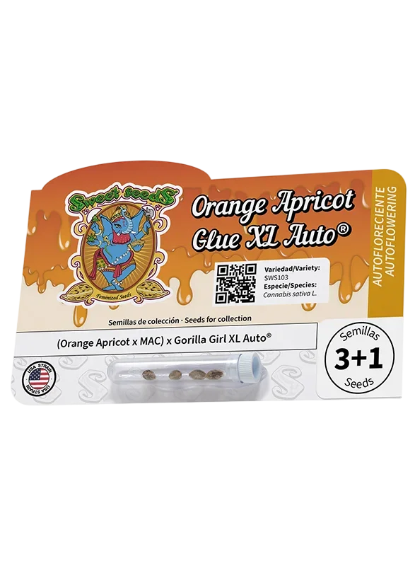 Orange Apricot Glue XL Auto | AUTOFEM | Sweet Seeds