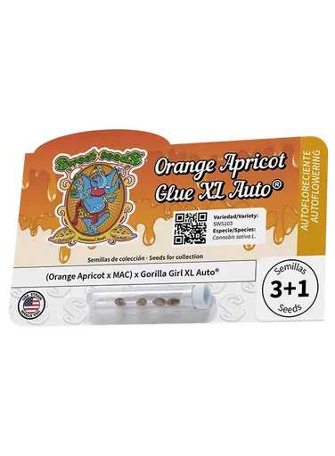 Orange Apricot Glue XL Auto
