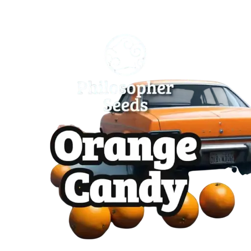 Orange Candy
