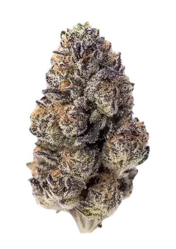 Papaya Sherbet